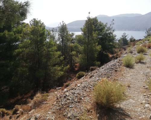 φωτογραφία ακινήτου