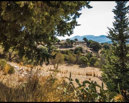 φωτογραφία ακινήτου