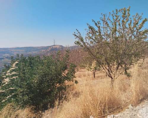 φωτογραφία ακινήτου