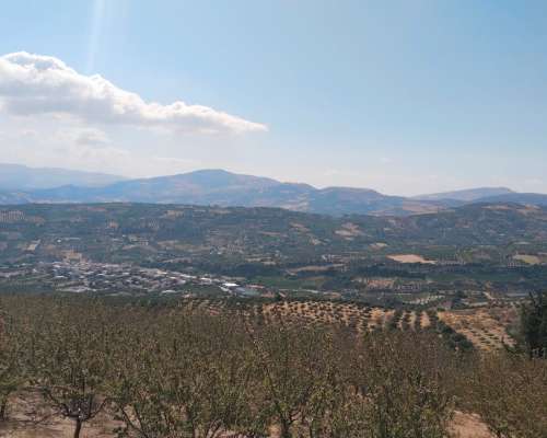 φωτογραφία ακινήτου