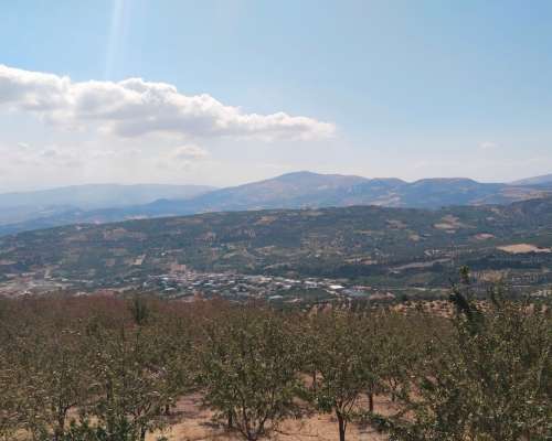 φωτογραφία ακινήτου