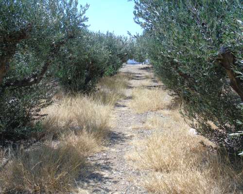 φωτογραφία ακινήτου