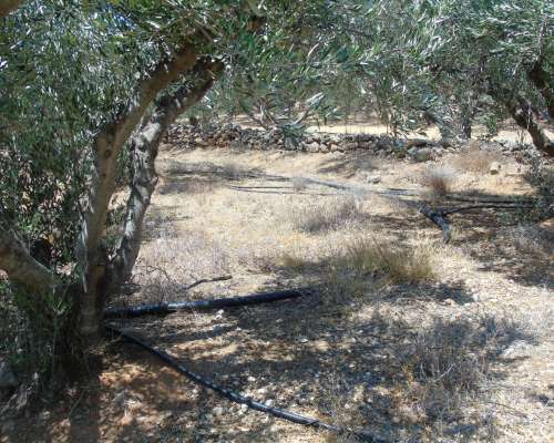 φωτογραφία ακινήτου