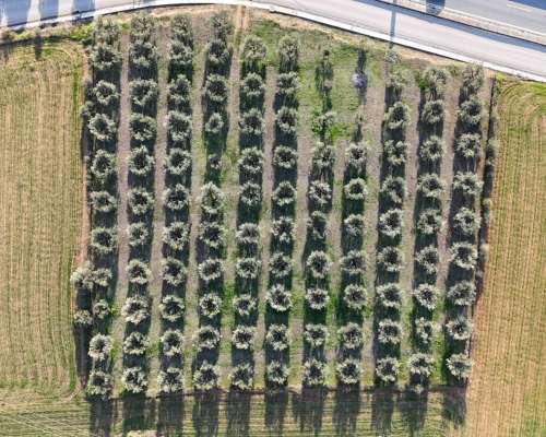 φωτογραφία ακινήτου