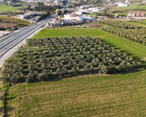 φωτογραφία ακινήτου
