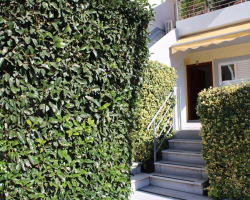 φωτογραφία ακινήτου