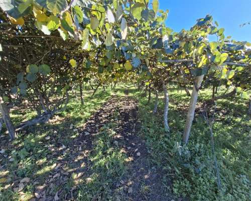 φωτογραφία ακινήτου