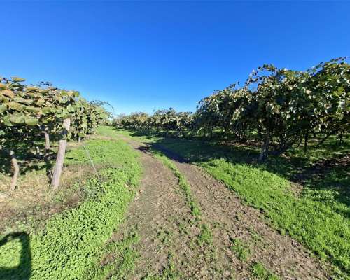 φωτογραφία ακινήτου