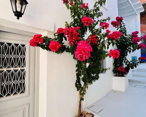 φωτογραφία ακινήτου