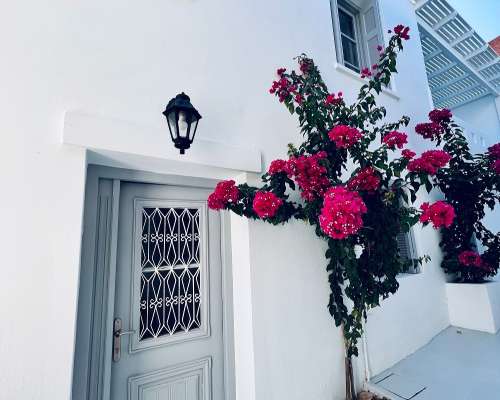 εικόνα ακινήτου