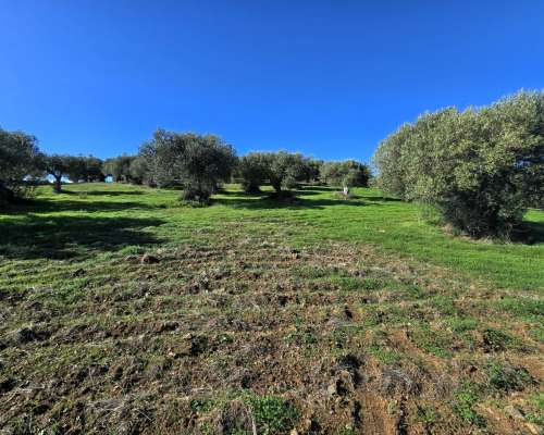 φωτογραφία ακινήτου