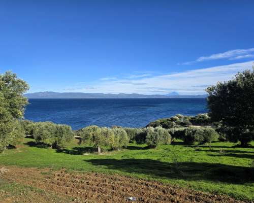 φωτογραφία ακινήτου