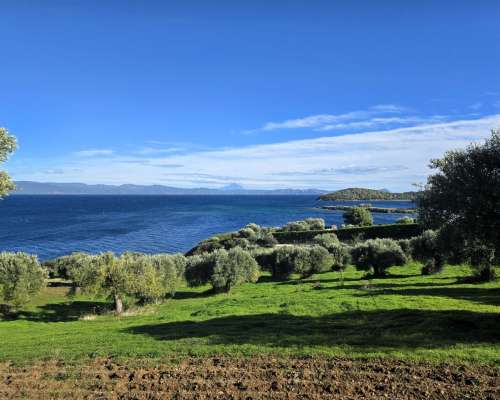 φωτογραφία ακινήτου