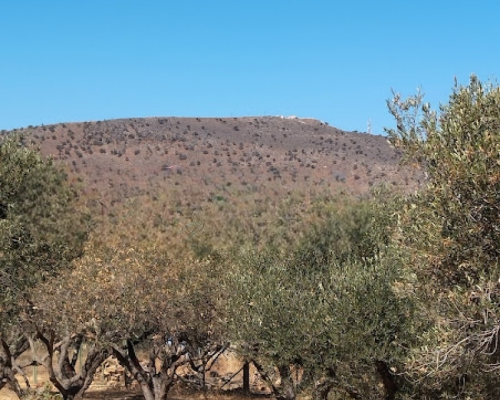εικόνα ακινήτου