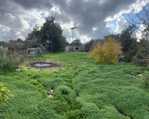 φωτογραφία ακινήτου