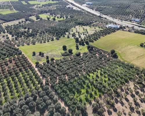 φωτογραφία ακινήτου