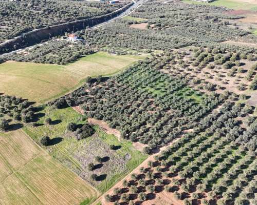φωτογραφία ακινήτου
