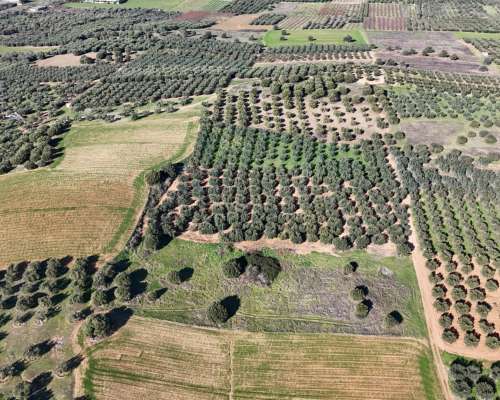 φωτογραφία ακινήτου