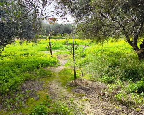 φωτογραφία ακινήτου