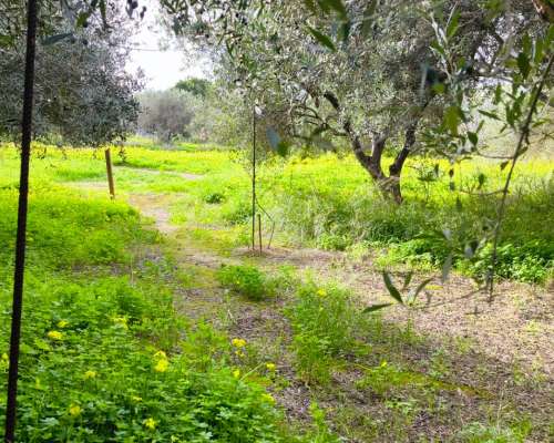 φωτογραφία ακινήτου