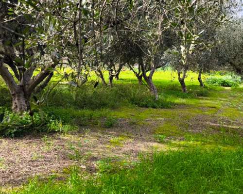 φωτογραφία ακινήτου