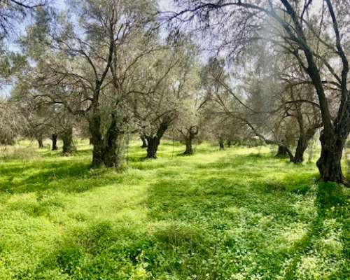 φωτογραφία ακινήτου