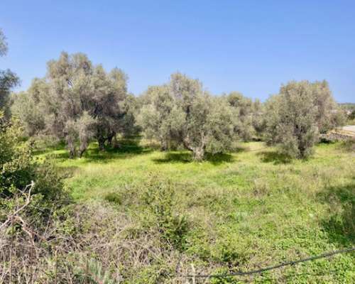 φωτογραφία ακινήτου