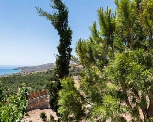 φωτογραφία ακινήτου