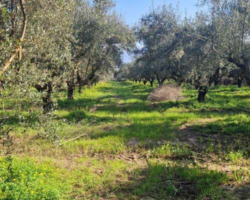 εικόνα ακινήτου