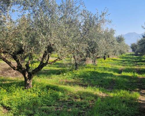 φωτογραφία ακινήτου