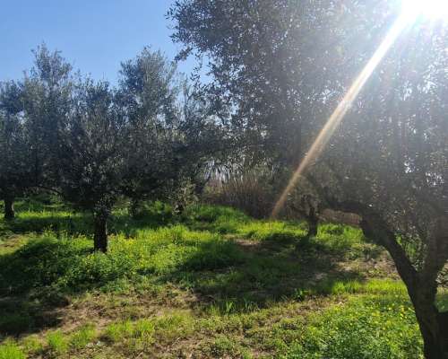 φωτογραφία ακινήτου