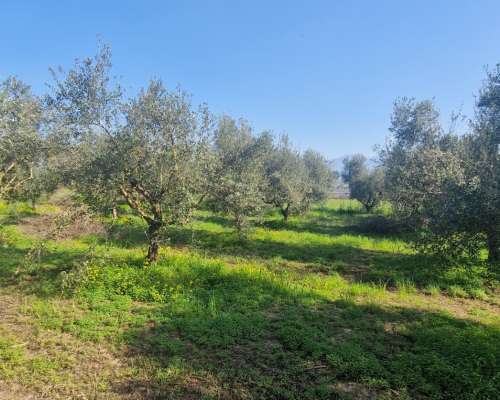 φωτογραφία ακινήτου