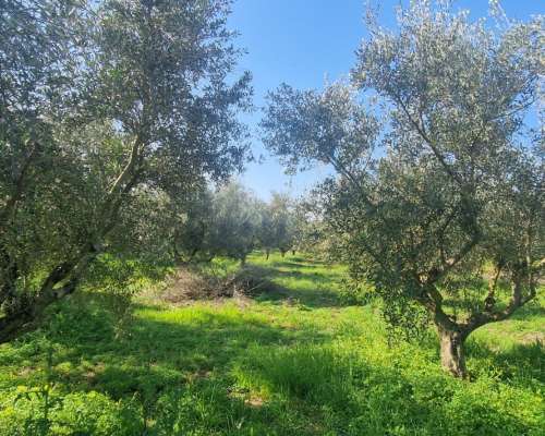 φωτογραφία ακινήτου