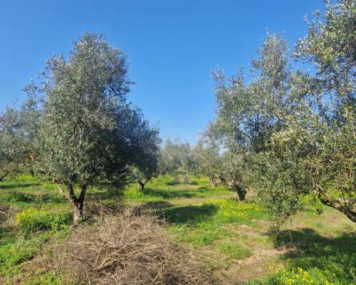 φωτογραφία ακινήτου