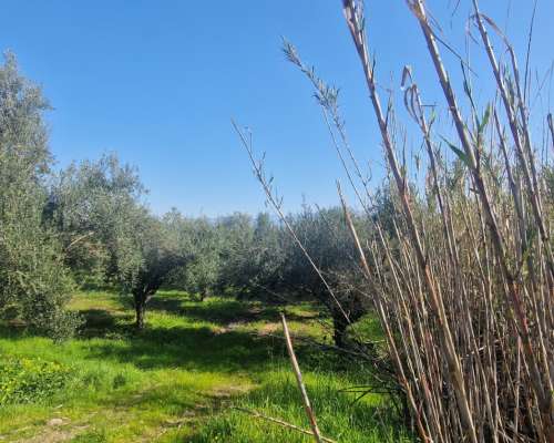 φωτογραφία ακινήτου