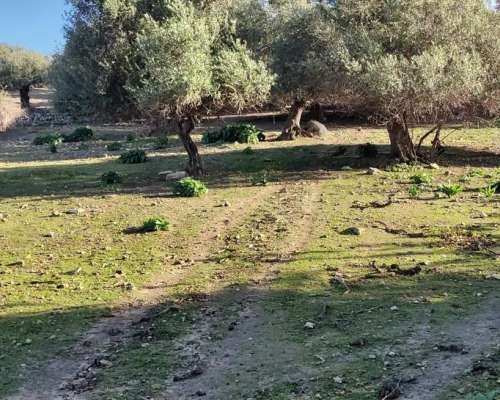 φωτογραφία ακινήτου