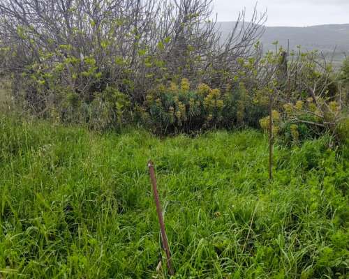 φωτογραφία ακινήτου