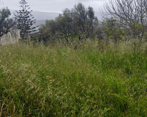 φωτογραφία ακινήτου