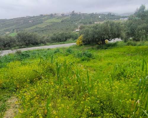 φωτογραφία ακινήτου