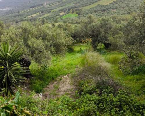 φωτογραφία ακινήτου