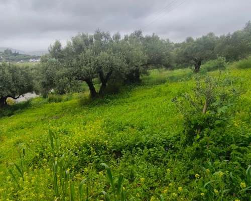 φωτογραφία ακινήτου