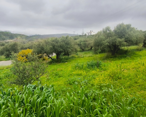 εικόνα ακινήτου