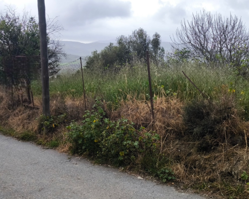 φωτογραφία ακινήτου