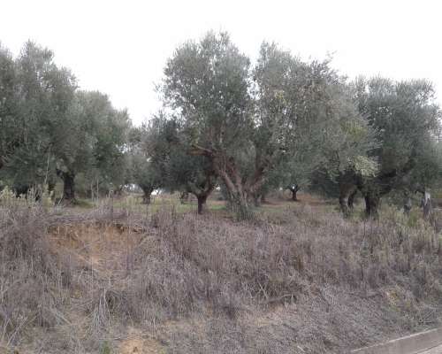 εικόνα ακινήτου