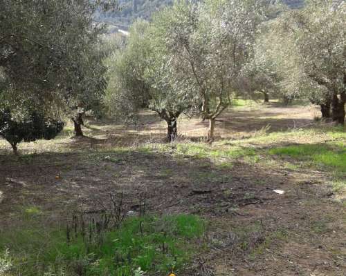 φωτογραφία ακινήτου