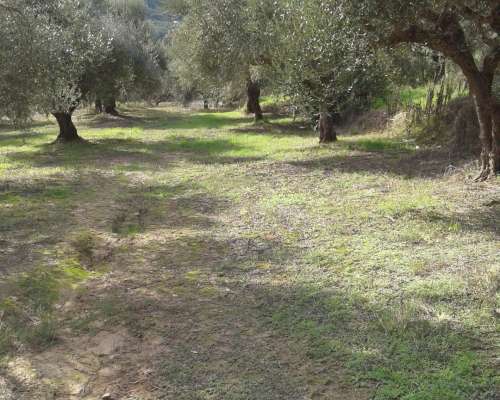 φωτογραφία ακινήτου