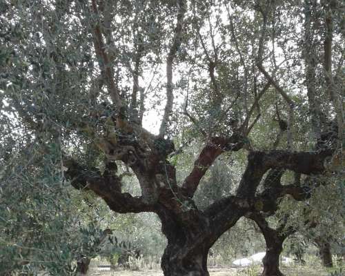 φωτογραφία ακινήτου