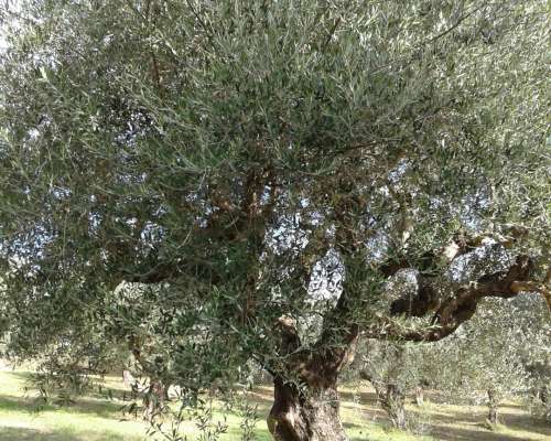 φωτογραφία ακινήτου