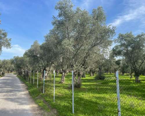 φωτογραφία ακινήτου