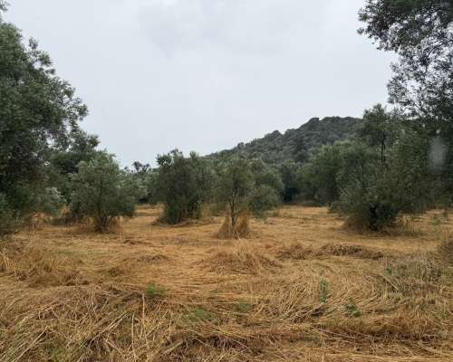 εικόνα ακινήτου